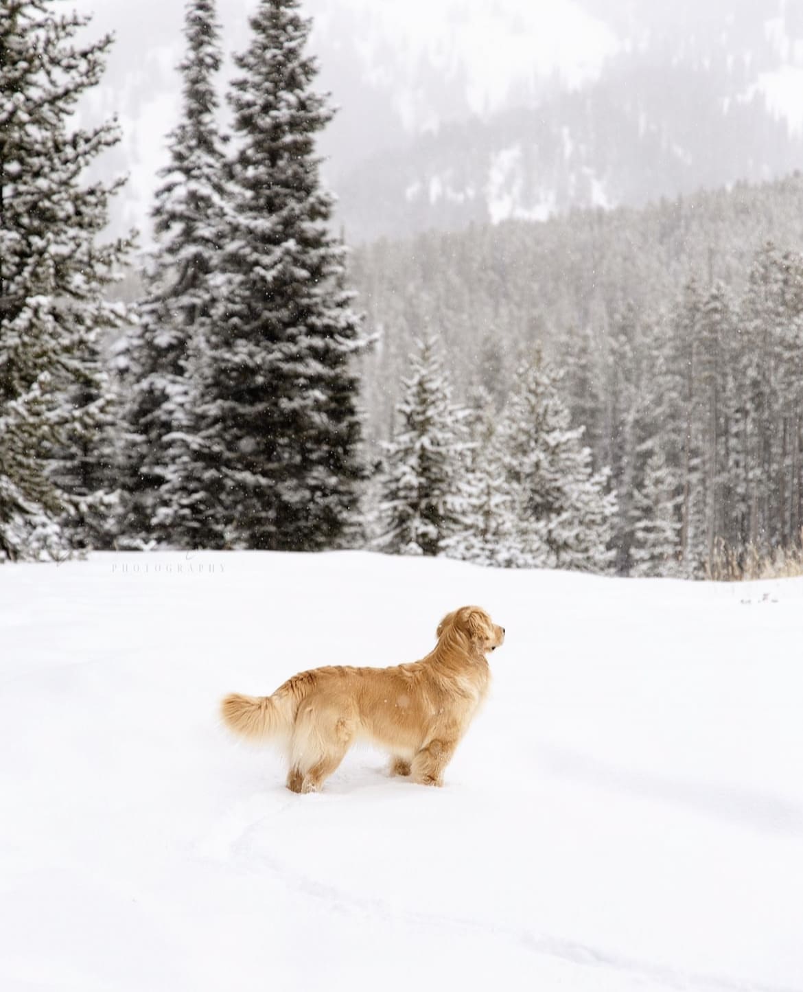Big Sky, Montana